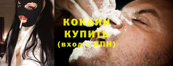гидра Корсаков