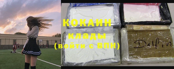 амф Козельск