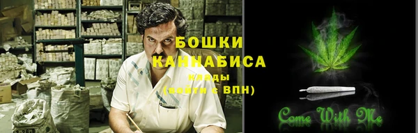 гидра Корсаков