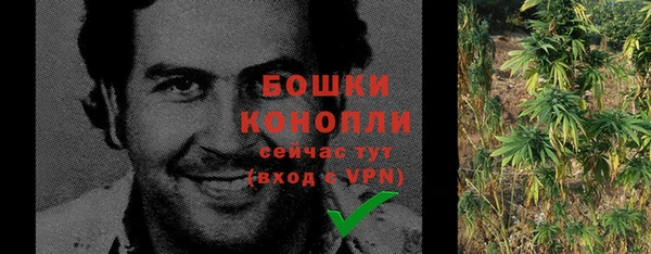 индика Кулебаки