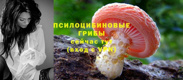 прущие крисы Коряжма