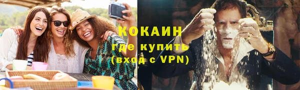 ГАЛЛЮЦИНОГЕННЫЕ ГРИБЫ Валдай